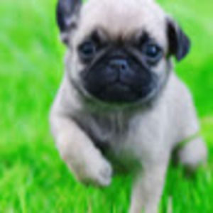 Meet your Posher, Haylen